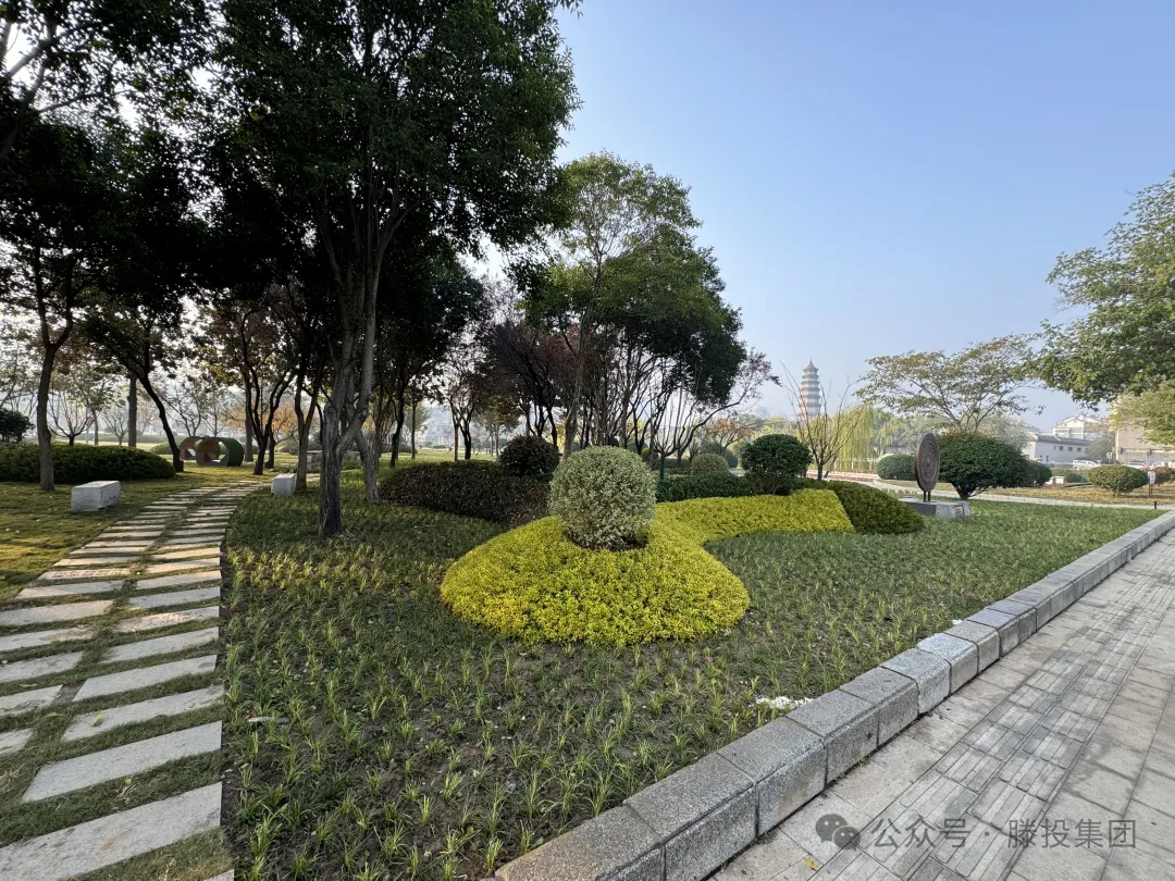 1746263126296647.jpg 111.jpg